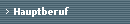 Hauptberuf